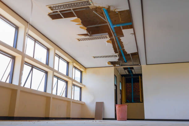 Best Local water damage restoration  in Venice, FL