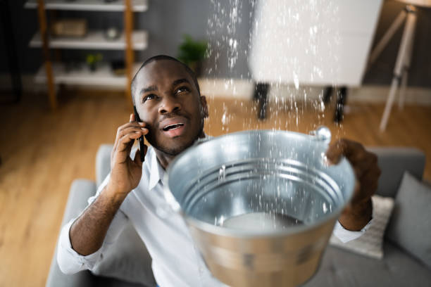 Best Flood damage cleanup  in Venice, FL