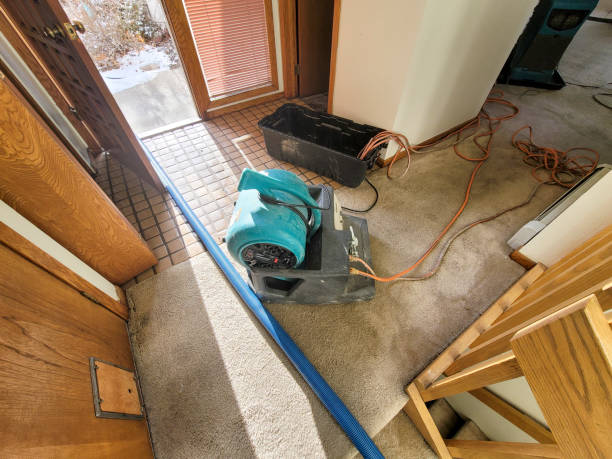 Best Water damage contractors near me  in Venice, FL