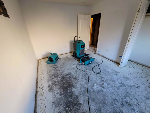 Best 24/7 water damage repair  in Venice, FL