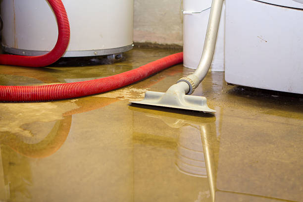  Venice, FL Water damage restoration Pros