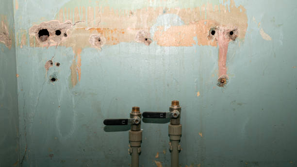 Best Water damage restoration process  in Venice, FL