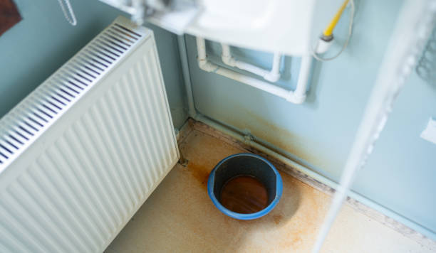 Best Basement water damage restoration  in Venice, FL
