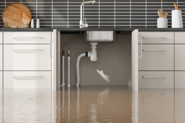 Best Water damage restoration near me  in Venice, FL