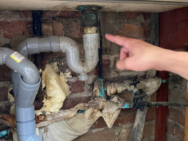 Best Mold removal after water damage  in Venice, FL